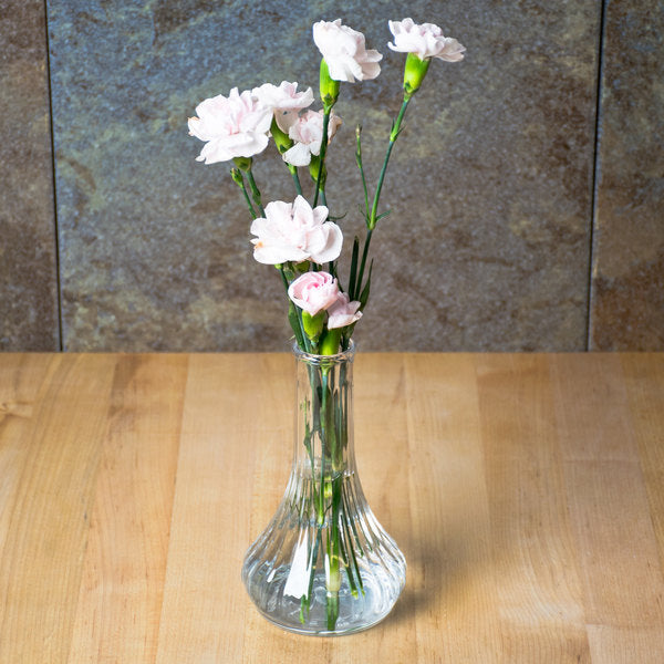 6" Clear Cambro Bud Vase